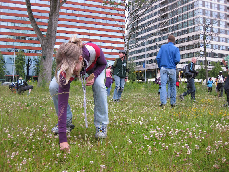 In het gras